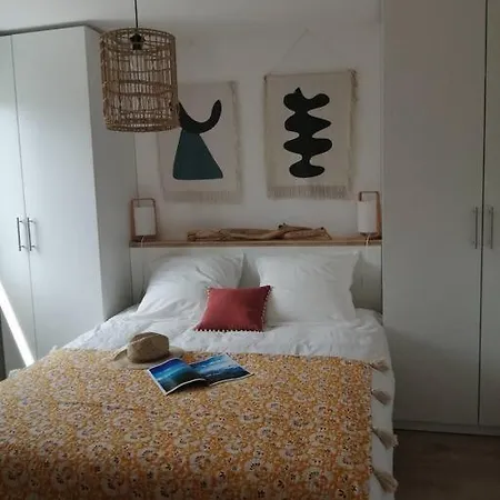 Lägenhet Appt Cosy, Plein Sud, A 200m, Proche Commerces